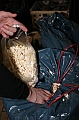 MuF_103